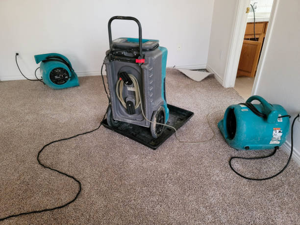 Best Water damage contractors near me  in Belle Plaine, MN