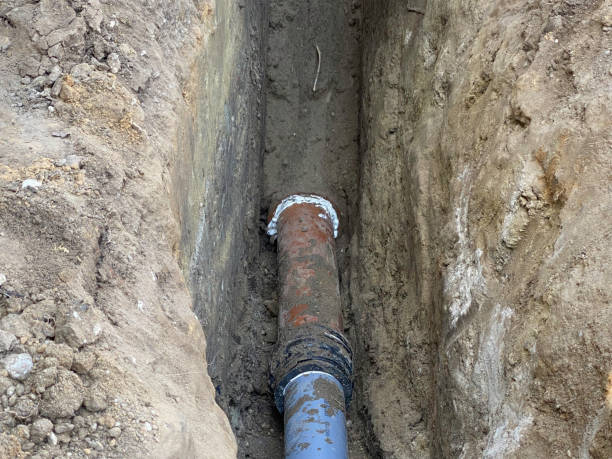 Best Flood damage cleanup  in Belle Plaine, MN