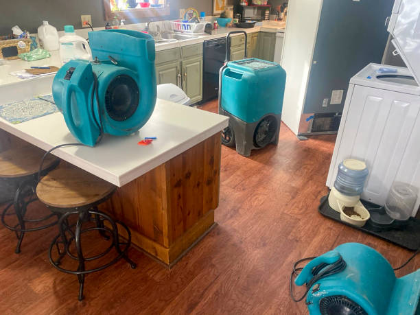 Best Residential water damage restoration  in Belle Plaine, MN