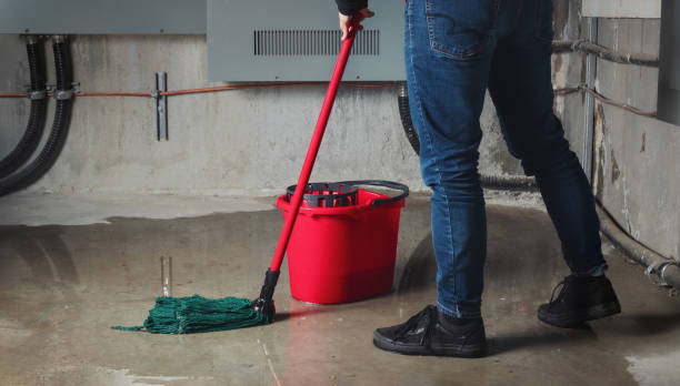 Best Carpet water damage restoration  in Belle Plaine, MN