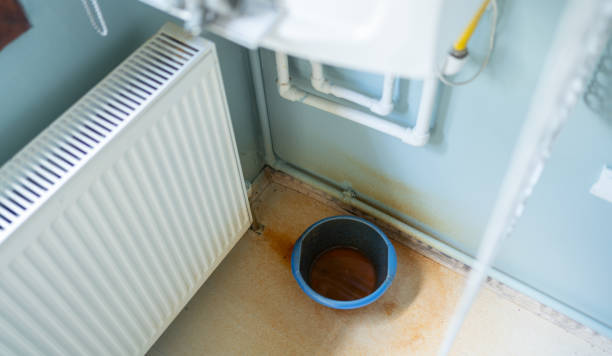 Best Water damage restoration mold remediation  in Belle Plaine, MN