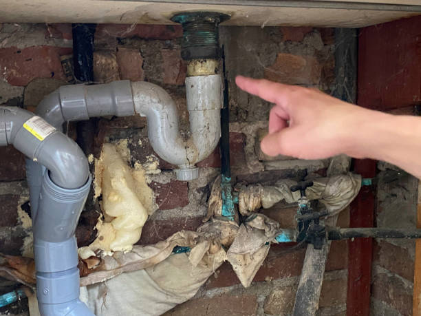 Best Water damage restoration experts  in Belle Plaine, MN